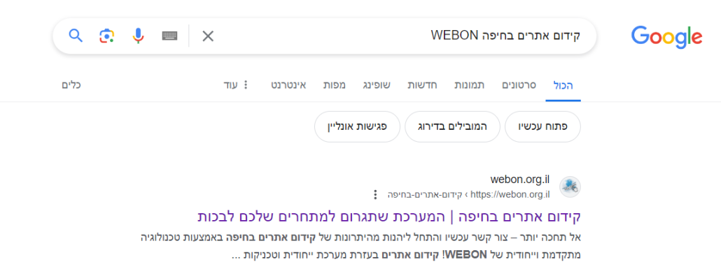 קידום אתרים בחיפה